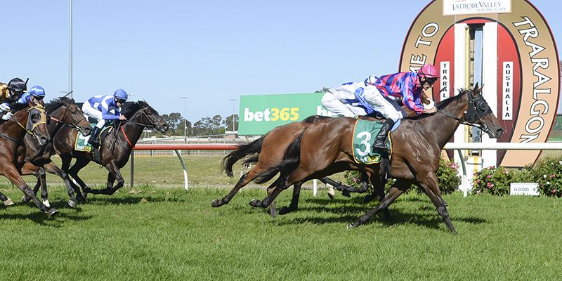 bet365 Traralgon Cup Day Tile Image