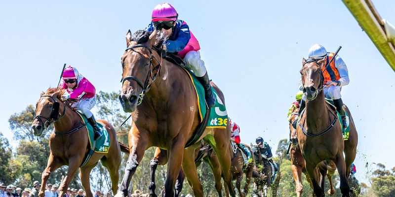 NYE Family Fun Day  Tile Image