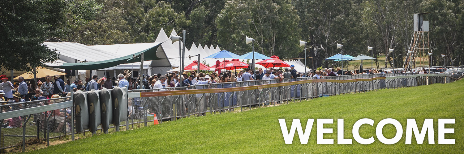 Mansfield | Home Page Image | Ticket Portal