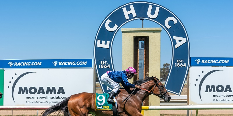 Saturday Racing  Tile Image