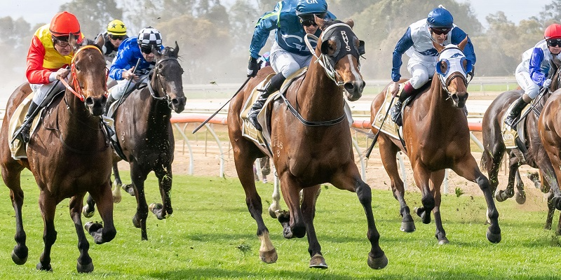 Monday Racing  Tile Image