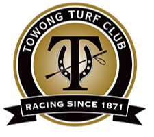 Towong | Portal Logo