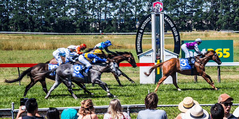 bet365 Penshurst Cup Tile Image