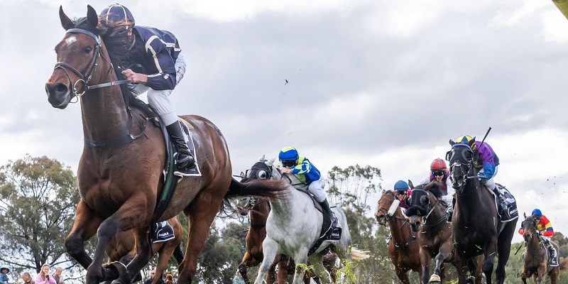 Saturday Racing  Tile Image