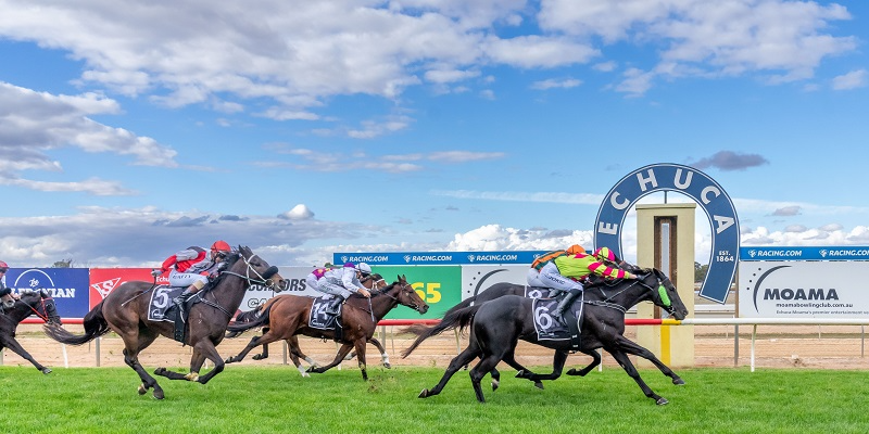 Tuesday Racing  Tile Image