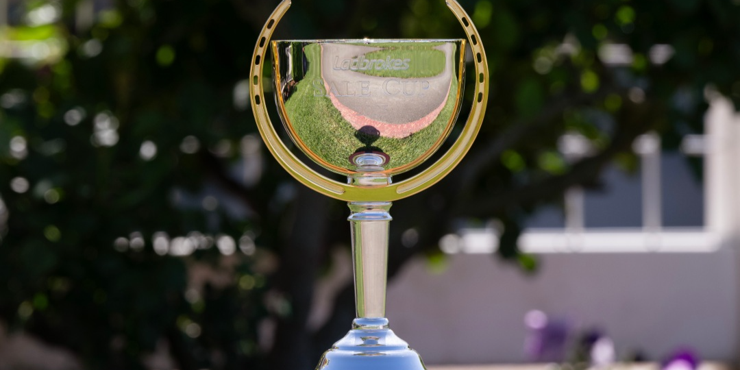 Ladbrokes Sale Cup 