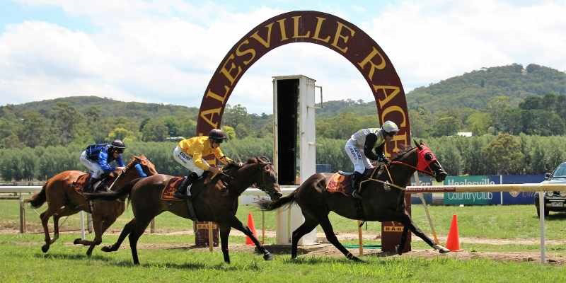 Pre Xmas at the Picnics  Tile Image