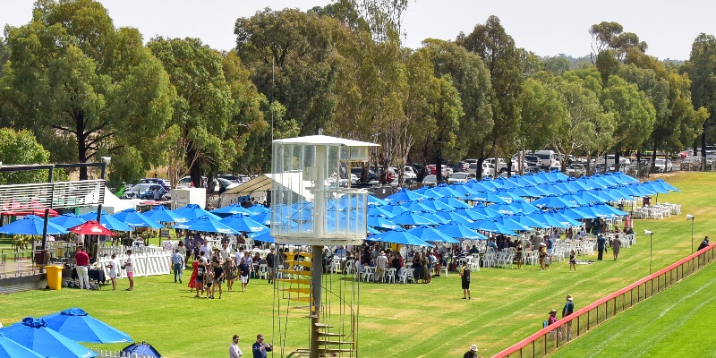 Echuca | Umbrella | Echuca | Umbrella | 2025-2026 Thumbnail
