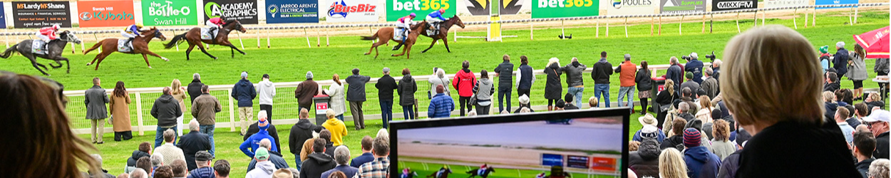 Swan Hill | Banner | Birdseye