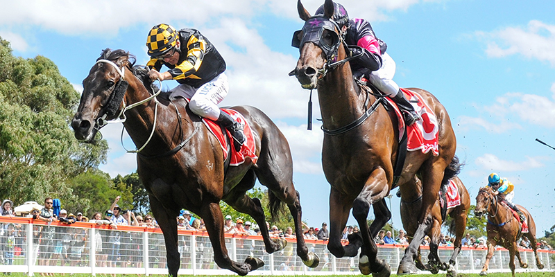 Christmas Races Tile Image