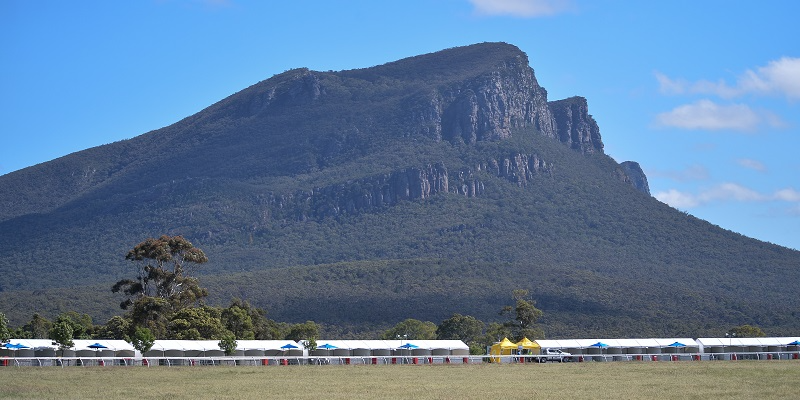 Dunkeld | Marquees | Dunkeld | Marquees | 2024-2025 Thumbnail
