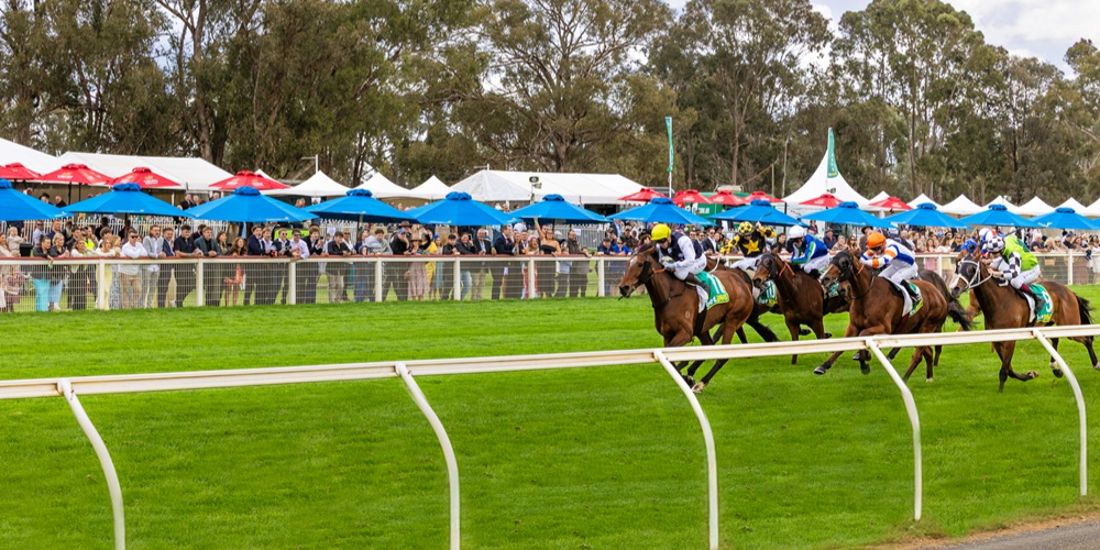 bet365 Seymour Cup 