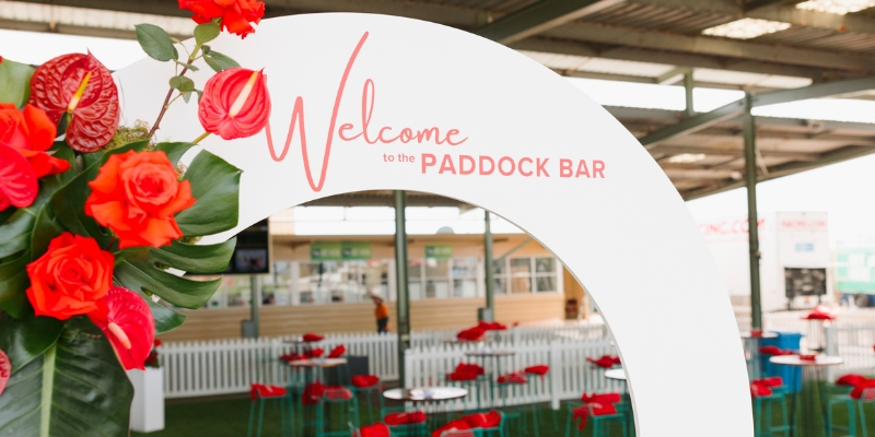 Sale | Punters Paddock | Sale | Punters Paddock Christmas | 2024-2025 Thumbnail