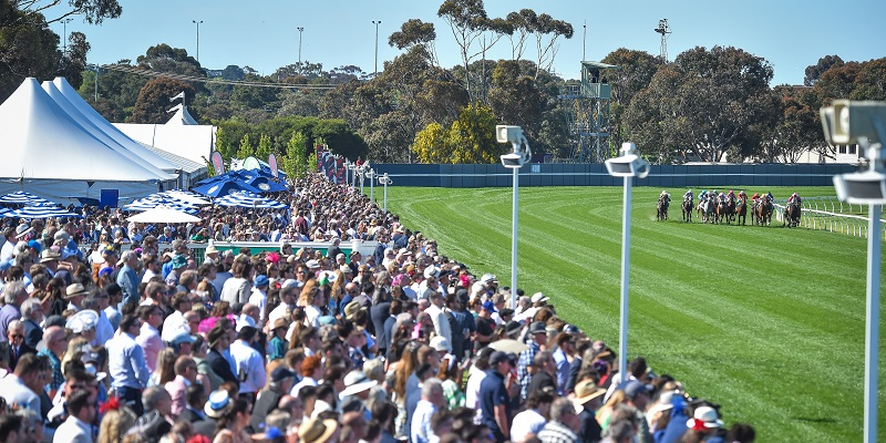 Geelong | General Admission | Geelong | General Admission Geelong Cup | 2024-2025 Thumbnail