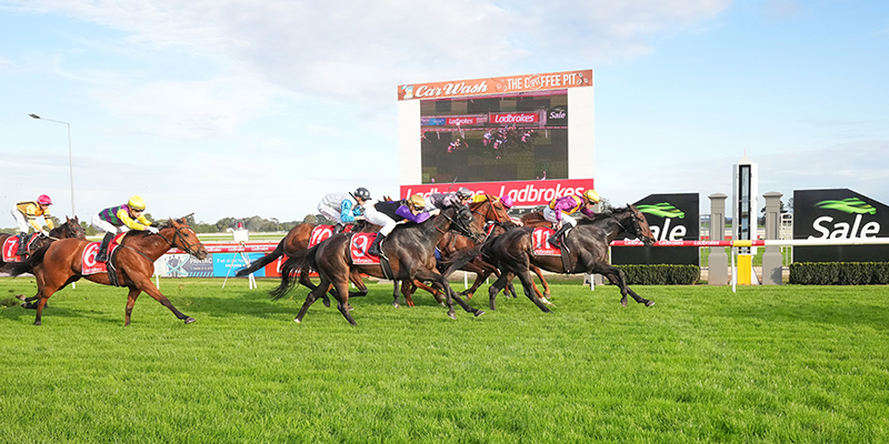 Christmas Racing  Tile Image