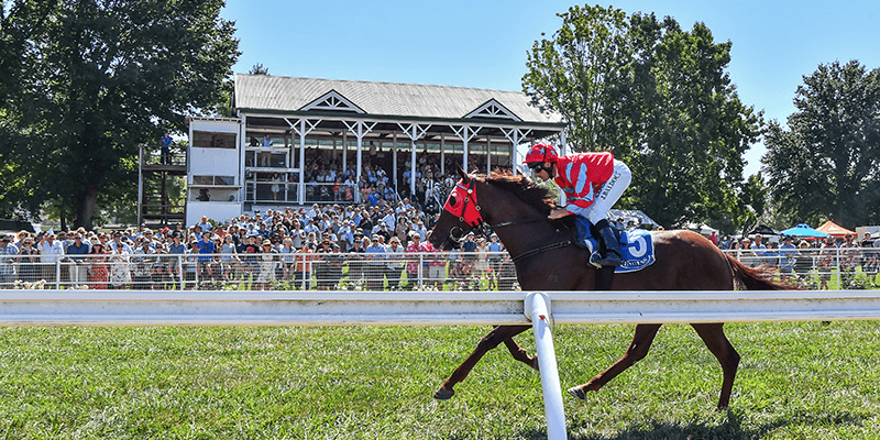 Towong Cup Tile Image