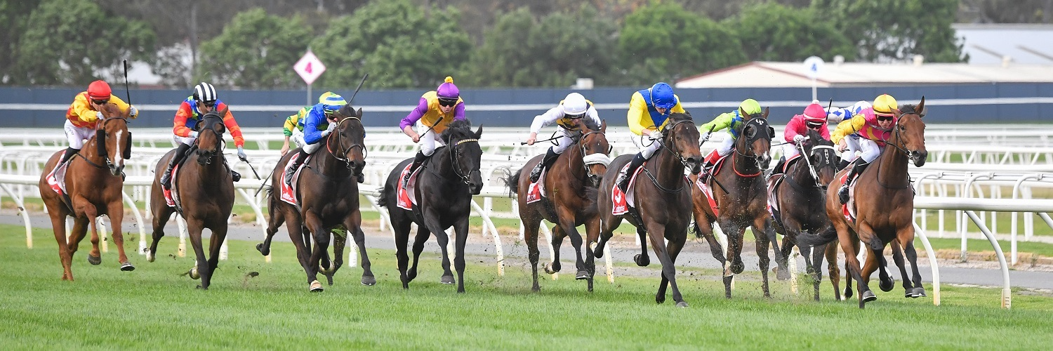 Geelong St Patrick's | Home Page Image | Ticket Portal