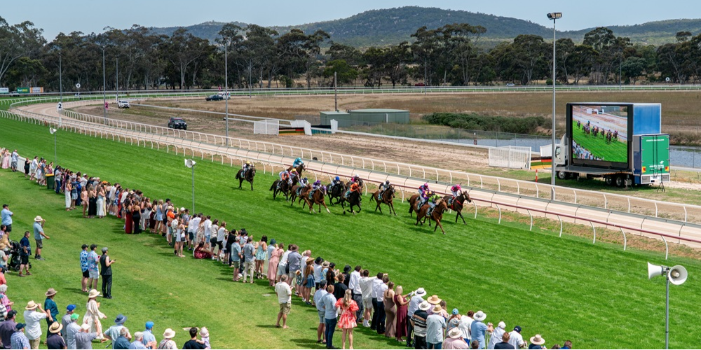 Thomas Foods Stawell Gold Cup Tile Image