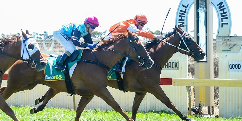 DMD Nhill Cup Tile Image