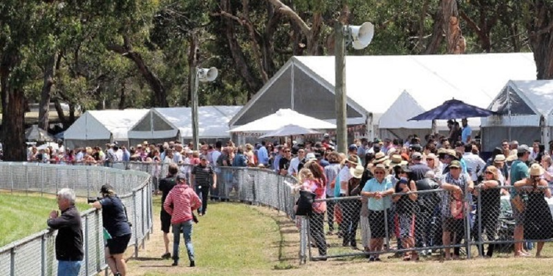 Balnarring | Marquees | Balnarring | Marquees | 2025-2026 Thumbnail