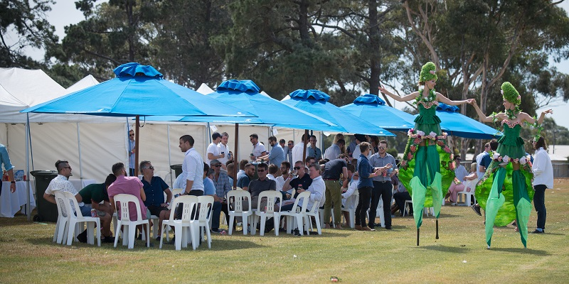 Geelong St Patrick's | Umbrella | Geelong St Patrick's | Umbrella | 2024-2025 Thumbnail