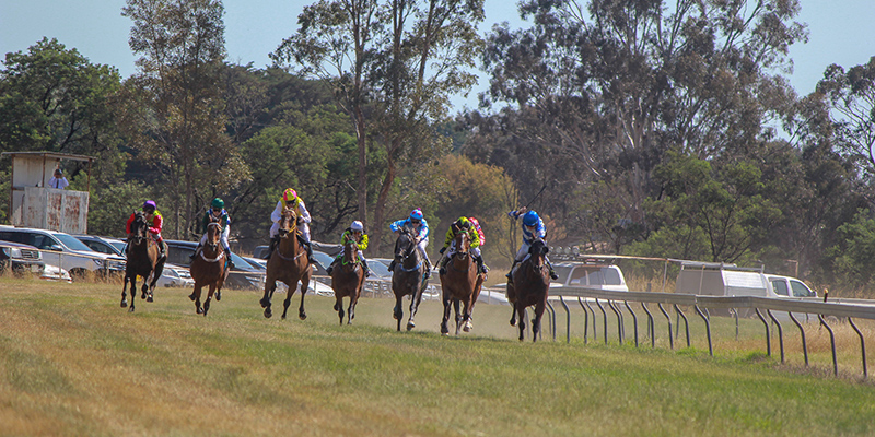 Nutrien Ag Solutions Merton Cup  Tile Image