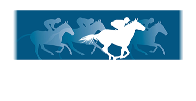 Swan Hill | Portal Logo