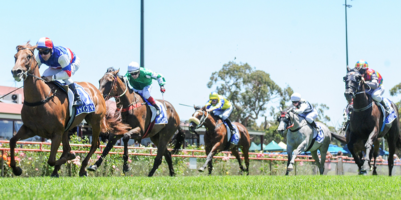 Friday Racing  Tile Image