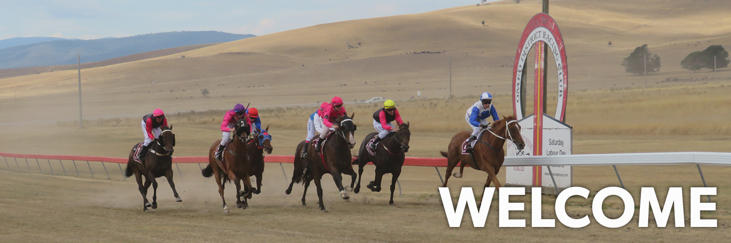 Omeo | Home Page Image | Ticket Portal