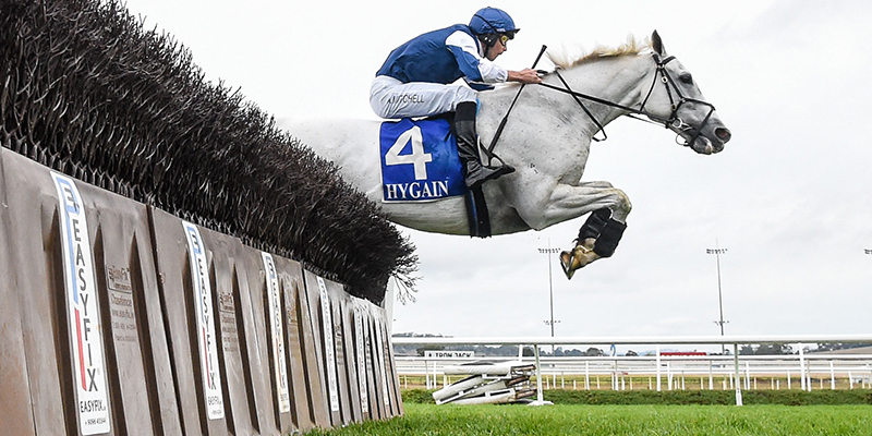 Ecycle Solutions Mosstrooper Jumps Race Day Tile Image