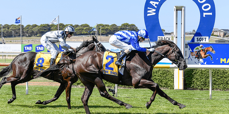 Thursday Racing  Tile Image