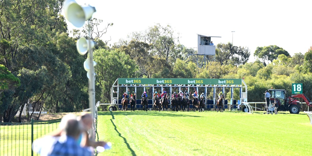 Autumn Racing  Tile Image