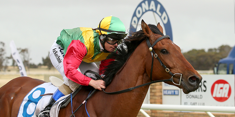 Weir's IGA Donald 2YO Classic  Tile Image