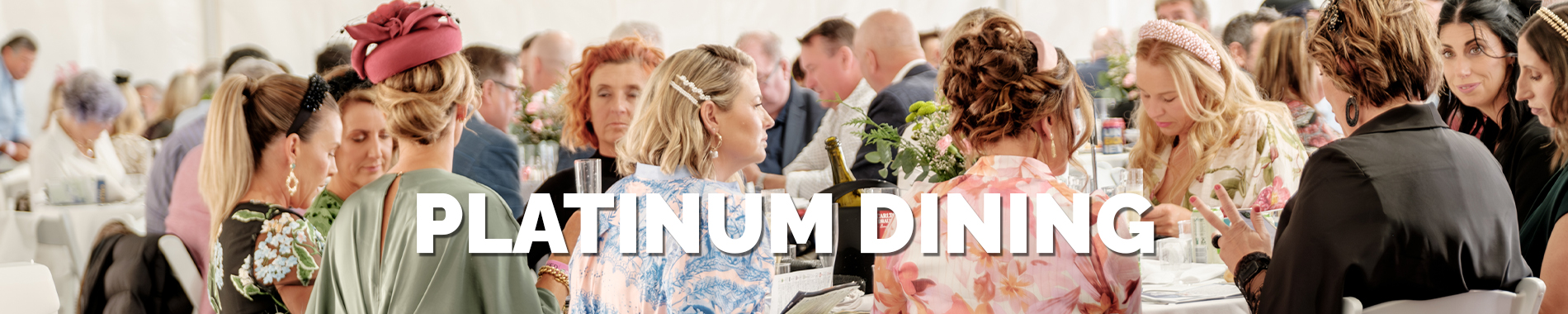 Platinum Dining Banner Image