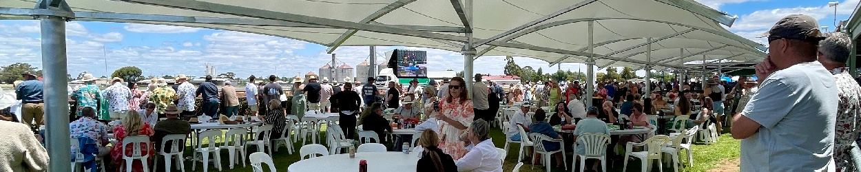 Kerang | Banner | Shade Structure