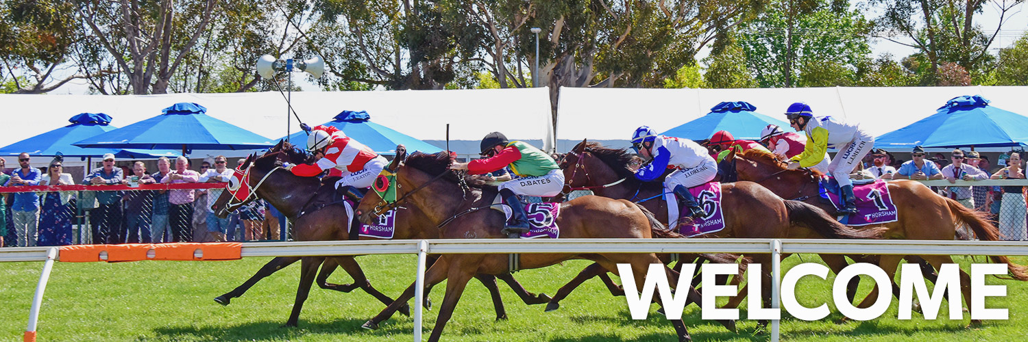 Horsham | Home Page Image | Ticket Portal