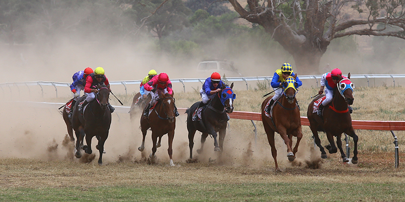 Tambo Valley Cup Tile Image