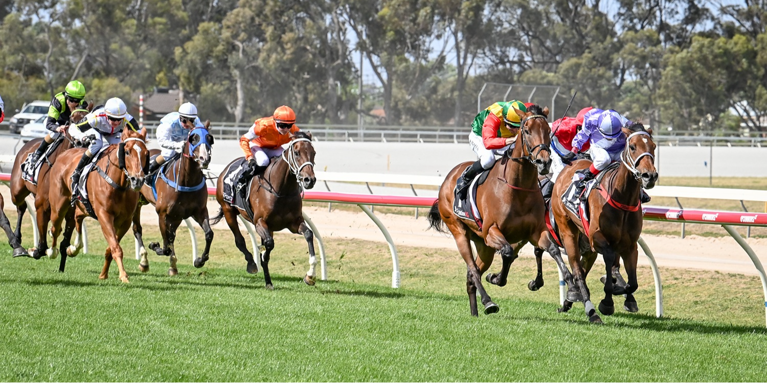 Tuesday Racing  Tile Image