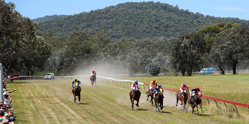 Buchan Station Buchan Caves Buchan Pub Buchan Cup Tile Image