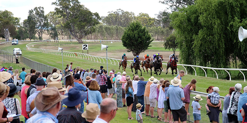 LAWD Agribusiness Sister Olive St Pats Cup  Tile Image