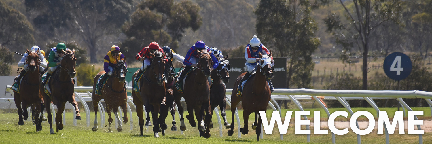 Ararat | Home Page Image | Ticket Portal