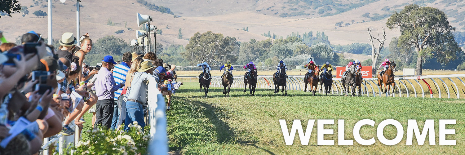 Towong | Home Page Image | Ticket Portal