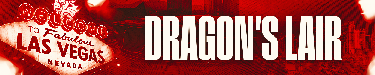 Vegas DIY Supporter Banner