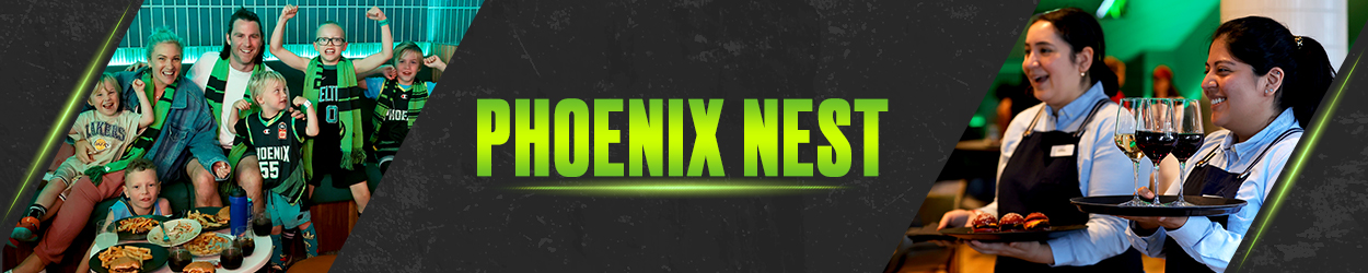 SEM Phoenix Nest Page Banner