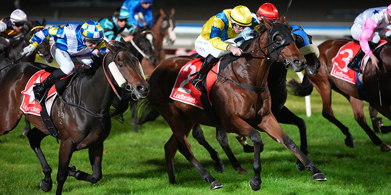 Ladbrokes Friday Nights Tile Image