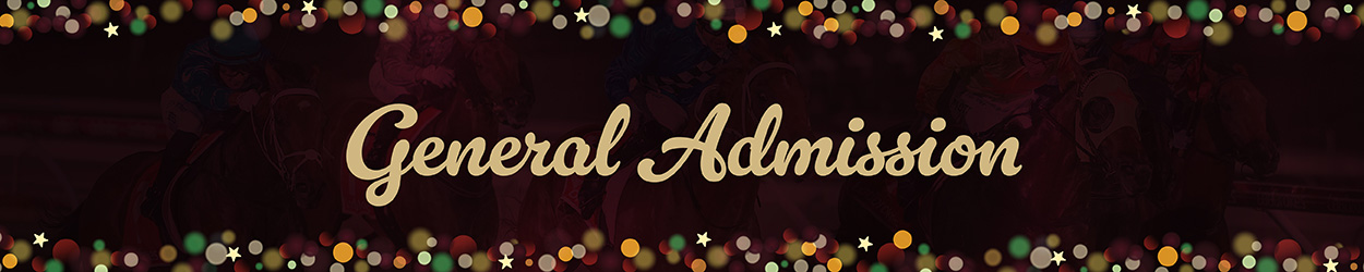 Pak Christmas GA Banner