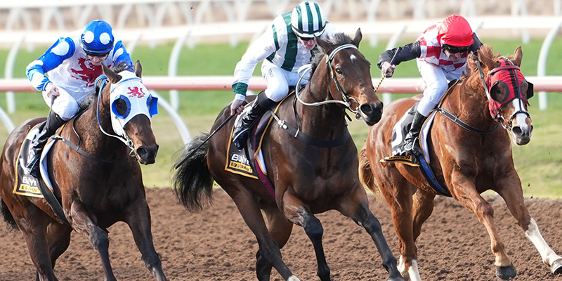 Winter Racing Tile Image