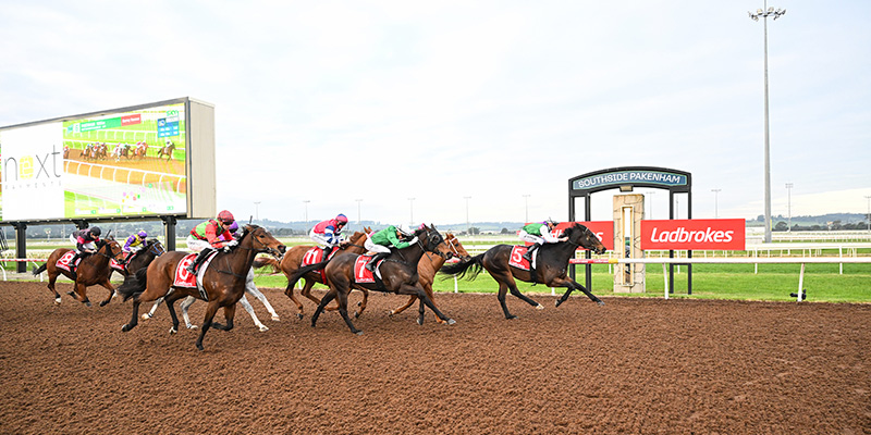 Winter Racing Tile Image