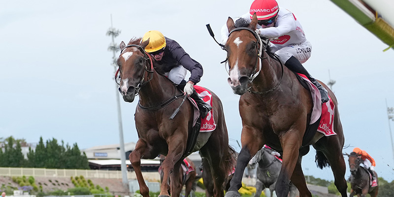 Winter Racing Tile Image