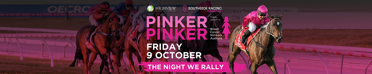 Pinker Banner